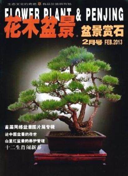 花木盆景杂志创刊20周年致读者