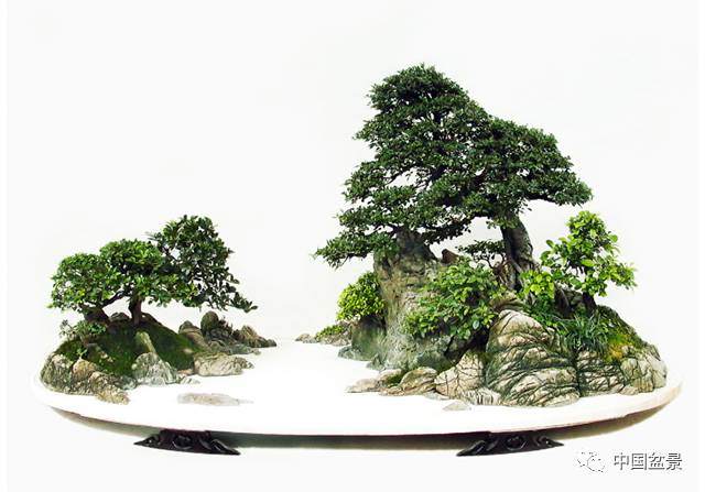 冯连生谈树石盆景怎么制作的4个方法