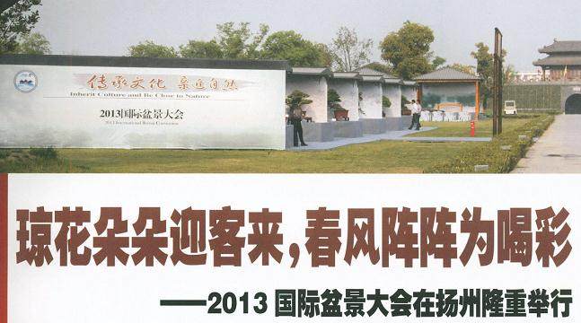 2013扬州国际盆景大会的开幕