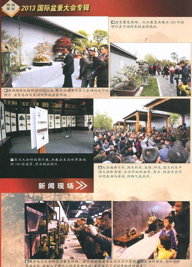 2013国际盆景大会在扬州瘦西湖隆重举行