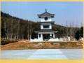 扬州举办的2013年国际盆景大会刚降下帷幕