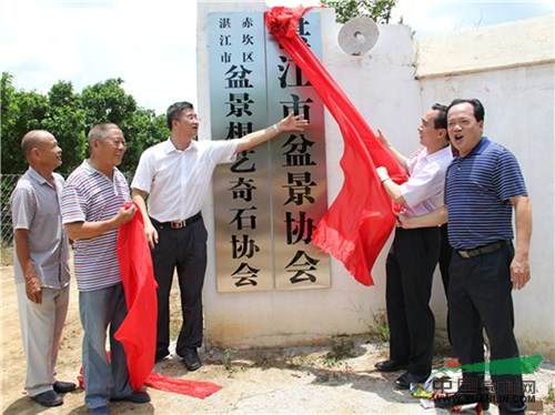 湛江市盆景根艺奇石协会日前正式成立并揭牌