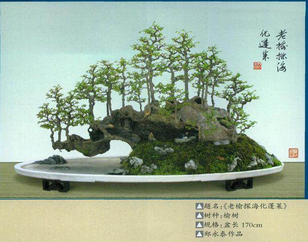 郑永泰的欣园盆景注重技法，追求意境，自成风格