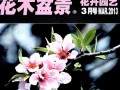 在《花木盆景》杂志创刊三十周年之际 中国花卉协会致以热烈祝贺