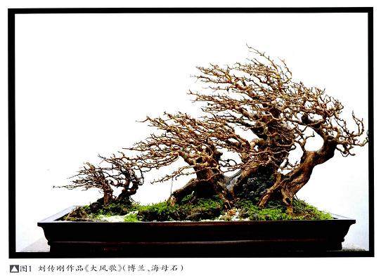刘传刚称得上是当代中国最具强烈个性的盆景艺术家