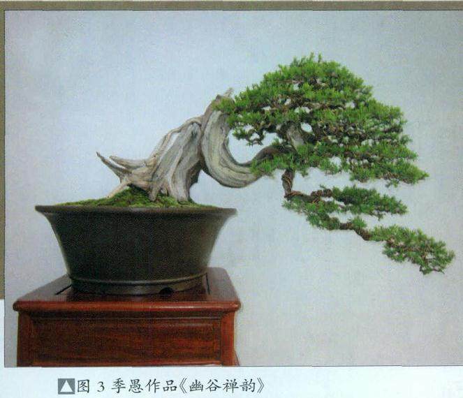 盆景与国画，是中华民族传统艺术领域的姐妹花