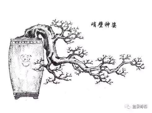 刘仲明大师手绘《岭南盆景百态图》