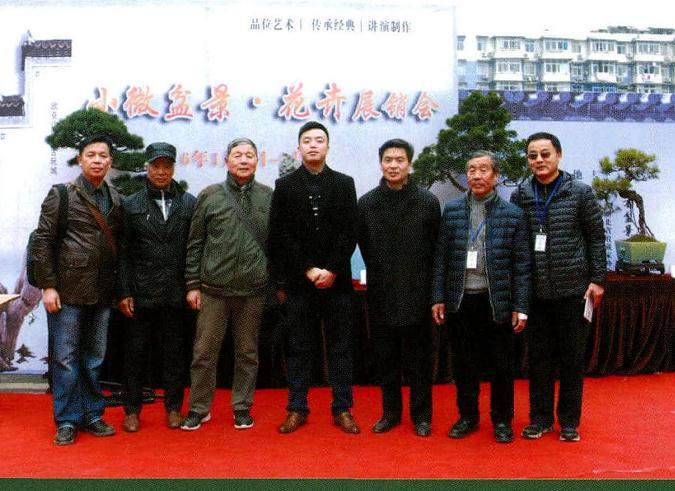 湖北省收藏家协会文玩盆景分会举办首届小微盆景评比展