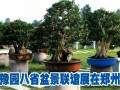 盆景爱好者送展的盆景佳作830余盆齐聚郑州豫园
