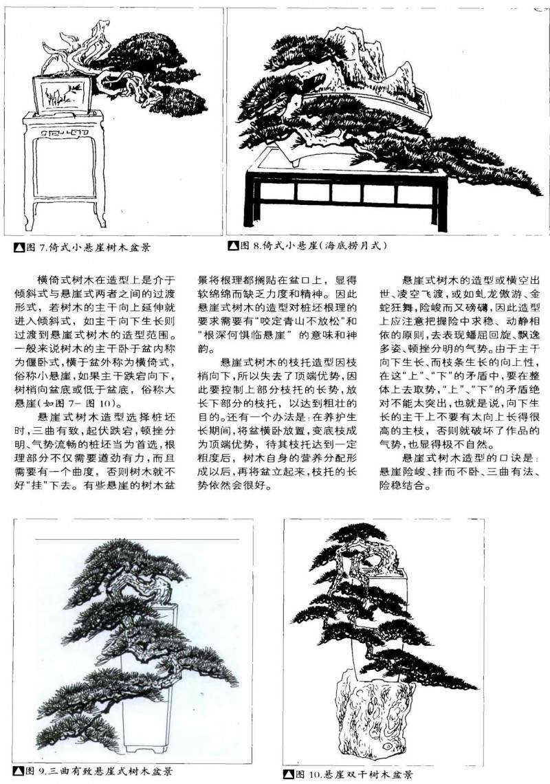 倾斜式树木盆景的造型方法【图解】