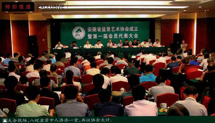安徽盆景第一届会员代表大会在合肥市梅山迎宾馆胜利召开