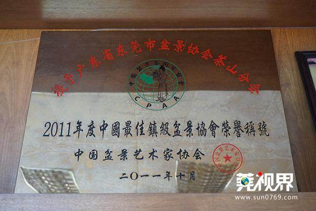 茶山盆景协会从1984年创会时15人发展到如今140多人