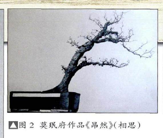 素仁盆景的确具备了“文人树”的方法和特征