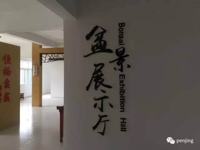 江苏省园林盆景艺术家协会首届盆景展公告