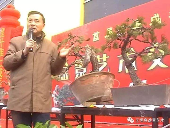 2009年3月首届盆景制作比赛在蚌埠成功举办