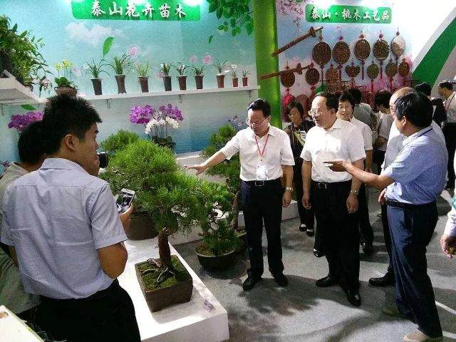 第14届中国林产品交易会在菏泽市圆满闭幕