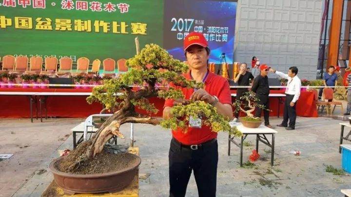 上海植物园盆景技师赵伟喜获全国盆景制作比赛金奖