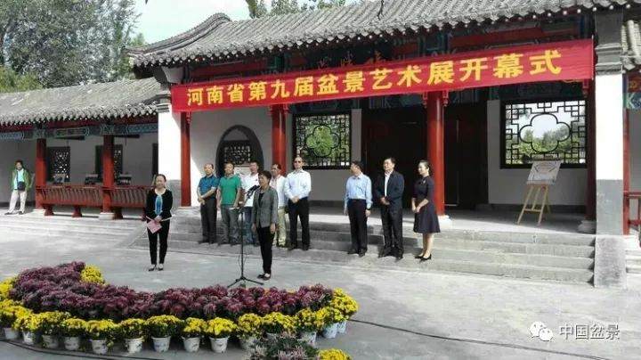 河南省第九届盆景展在古都开封铁塔公园开幕