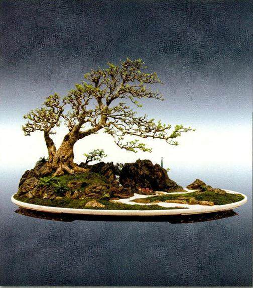 中国盆景艺术大师冯连生先生的树石盆景作品《淦河春晓》