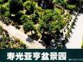 亚亨盆景园是寿光市知名企业家张永成营建的私家盆景园