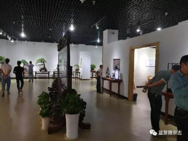 义乌市第九届盆景艺术展