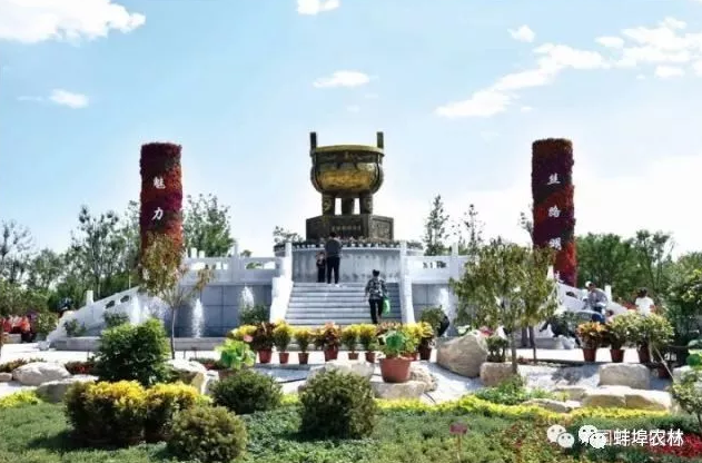 第九届中国花卉博览会于10月7日在宁夏银川举行