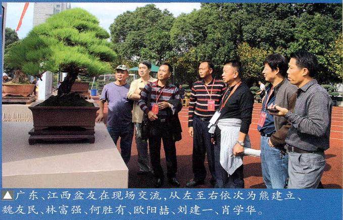 2014中国尊中国盆景收藏家藏品大展在余姚举办