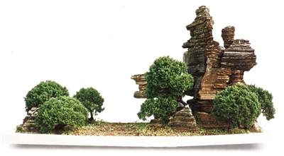 盆景艺术是起源于中国的一门古老艺术 被称为第二自然