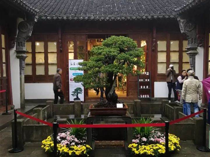 上海植物园受邀参加潘仲连盆景艺术研讨会