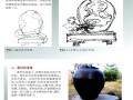 图解 盆景《半壁江山》怎么制作的过程