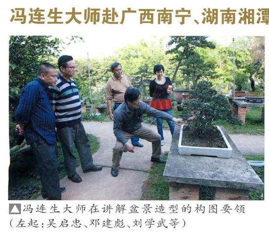 中国盆景艺术大师冯连生到南宁进行为期3天的盆景考察