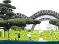 润松盆景园位于中国物流之都商贸名城临沂 占地500余亩