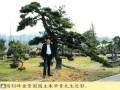 安徽朱学青先生创建的情侣峰盆景园就位于汤池镇