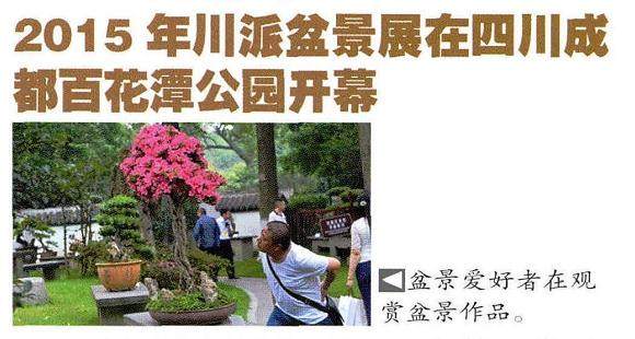 2015川派盆景展览5月20日在成都百花潭公园开幕