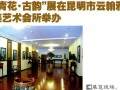 云南省盆景赏石协会组织的十二件盆景作品展