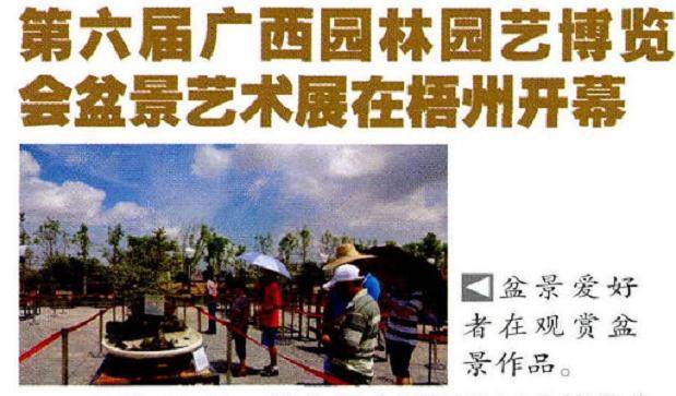 第六届广西园林园艺博览会盆景展在千年古城梧州开幕