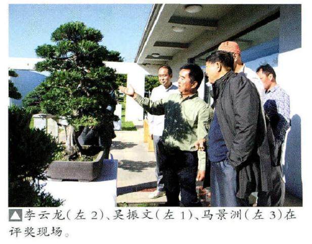 2015植物园杯盆景雅石展在石家庄植物园梅花馆隆重开幕