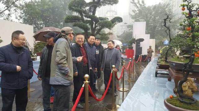重庆第三届精品盆景艺术展在龙头寺公园拉开帷幕