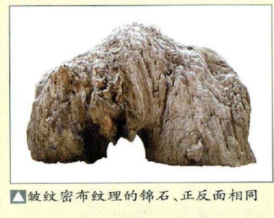 水墨丹青现锦石是山水盆景创作的理想石种之一