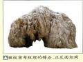 水墨丹青现锦石是山水盆景创作的理想石种之一
