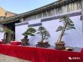 关于中国盆景艺术家协会缴纳2018年第六届理事会会费的通知