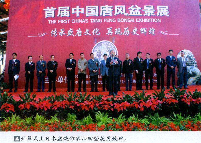 陕西万达集团主办的首届唐风盆景展在西安国唐苑成功举办
