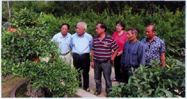 商丘盆景协会会长刘中印先生应邀指导明香石榴园