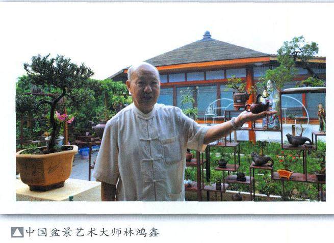 林鸿鑫大师的独创——茶壶盆景的独特韵味和精巧匠心