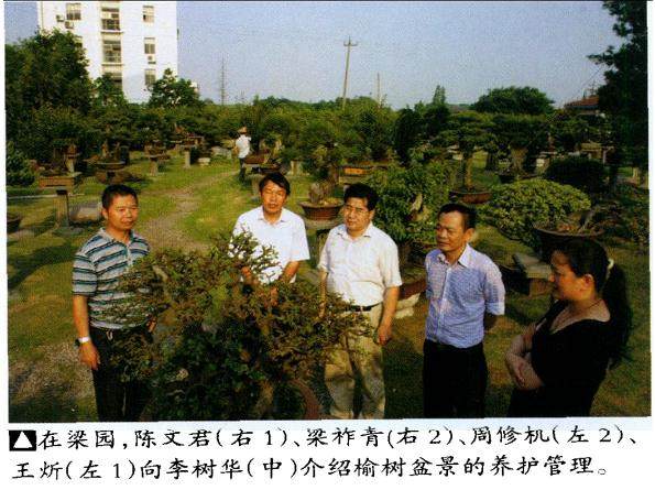 李教授对台州路桥的盆景产业现状表示惊讶