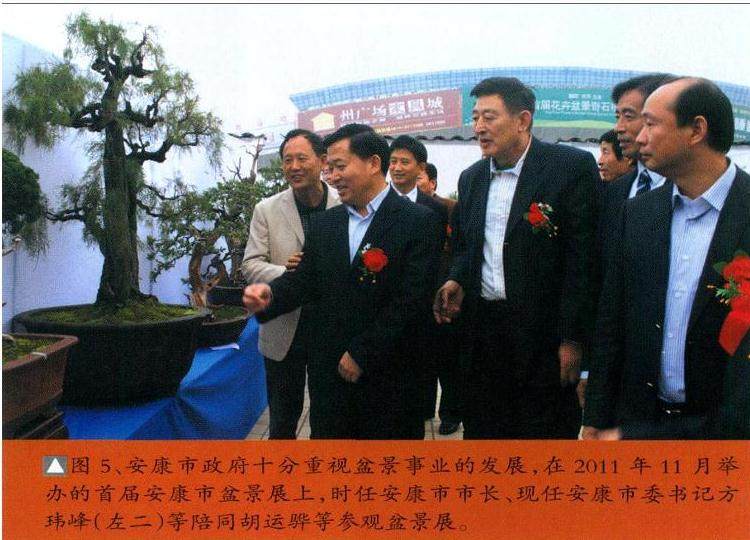 第八届中国盆景展览签约仪式在陕西省安康市隆重举行