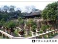 黄山鲍家花园被2013年世界盆景大会组委会指定为大会参观点