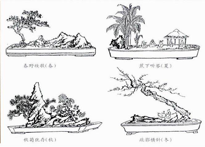 本栏目将连载由张志刚先生编著的《中国树石盆景》