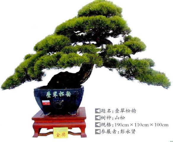 广东盆景协会成立30周年庆典
