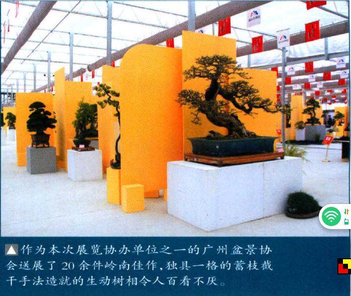 第四届“中国风”盆景展在如宋国园艺城举行